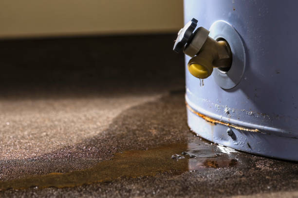 Best Flooded house restoration  in Carl Junction, MO