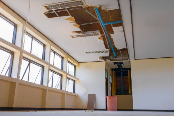 Best Flood damage cleanup  in Carl Junction, MO