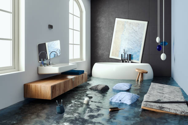 Best Water damage cleanup near me  in Carl Junction, MO