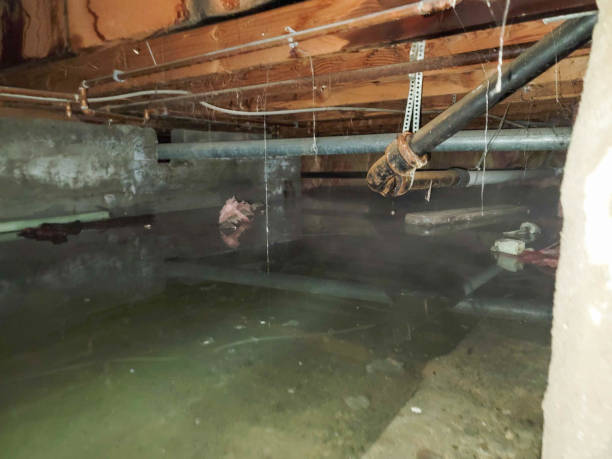 Best Water damage restoration insurance claims  in Carl Junction, MO