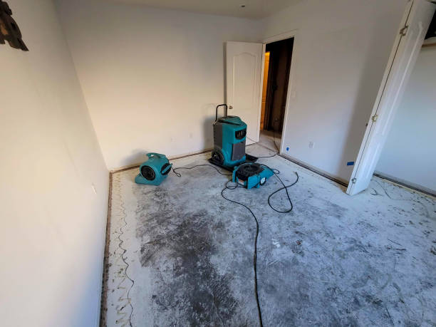 Best Professional water damage repair  in Carl Junction, MO