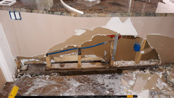 Best Mold removal after water damage  in Carl Junction, MO