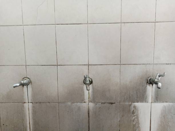 Best Sewage cleanup and water damage restoration  in Carl Junction, MO