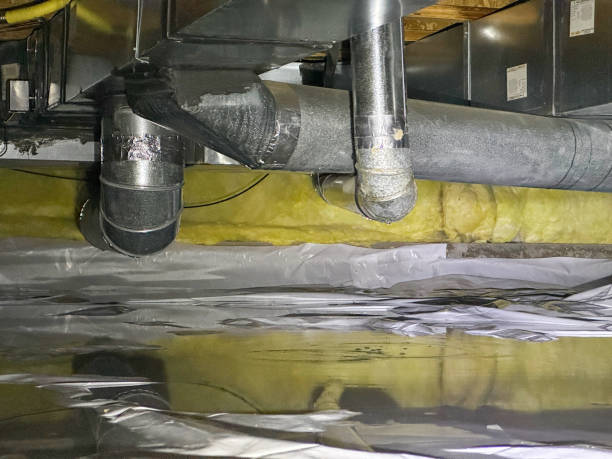 Best Flood restoration services  in Carl Junction, MO