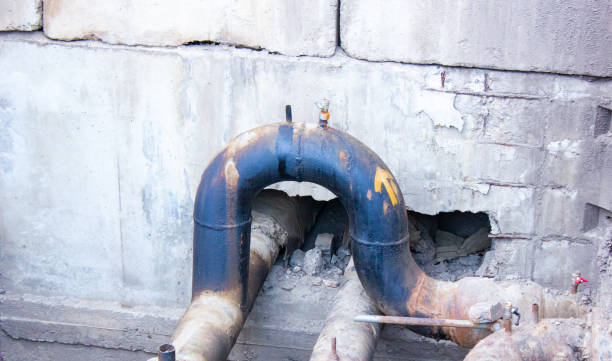 Best Fire Damage Restoration  in Carl Junction, MO