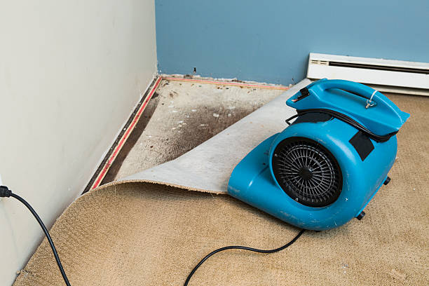 Best Water damage restoration near me  in Carl Junction, MO